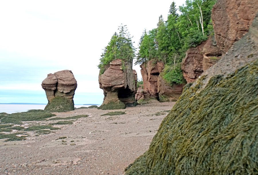 Hopewell Rocks à marée basse dans la baie de Fundy