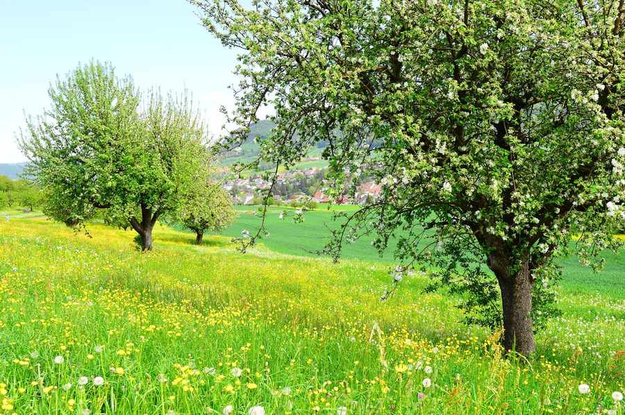 Le Fricktal au printemps avec un paysage rural