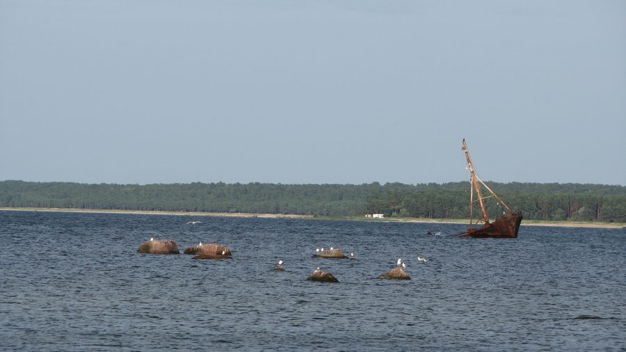 Plage de Lohusalu et épave de navire en août 2012