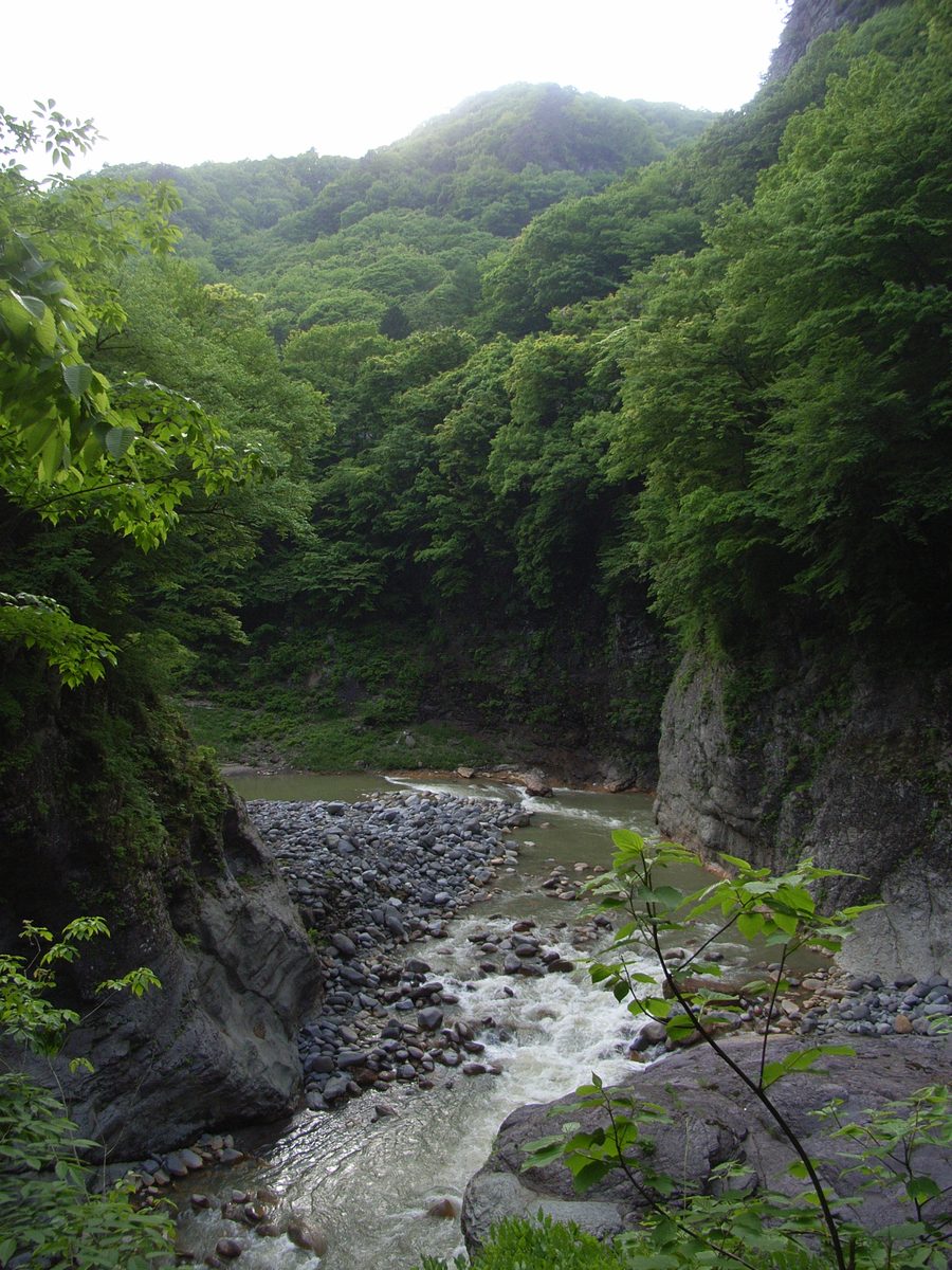 Vallée d’Agatsuma avec des pentes boisées abruptes à Gunma, au Japon.