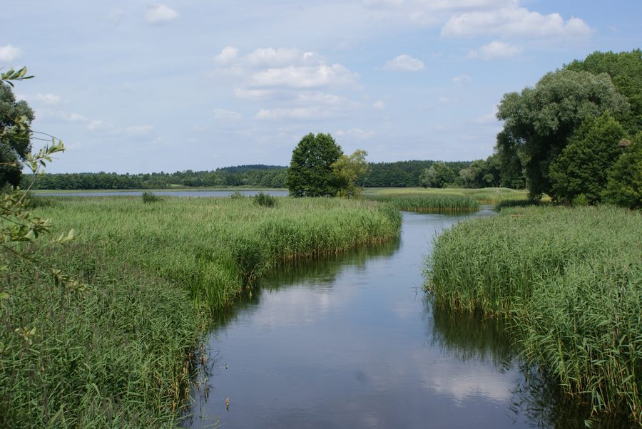 Rivière Ełk près du village de Miluki