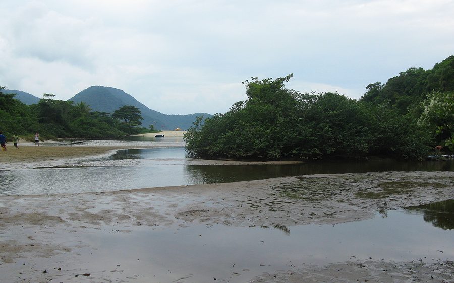 Plage sur la côte de São Paulo près d’Ubatuba