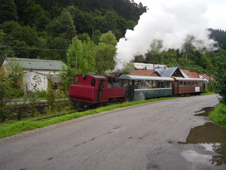 Locomotive à vapeur du chemin de fer forestier Čierny Hron près de Hronec