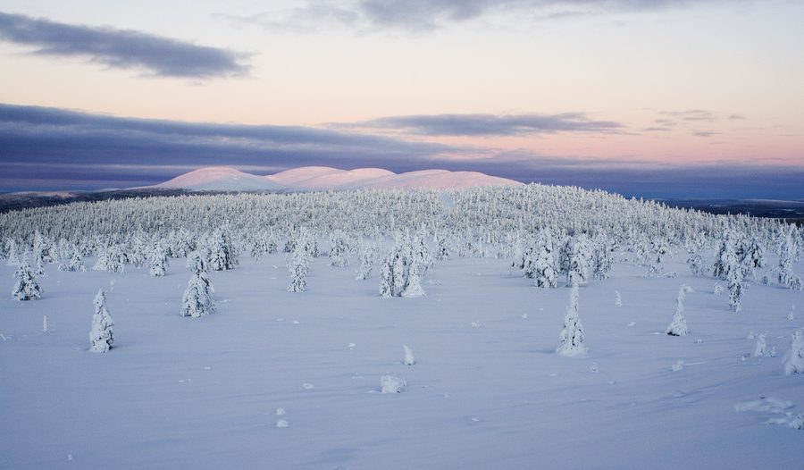 Paysage de fjell en Laponie finlandaise