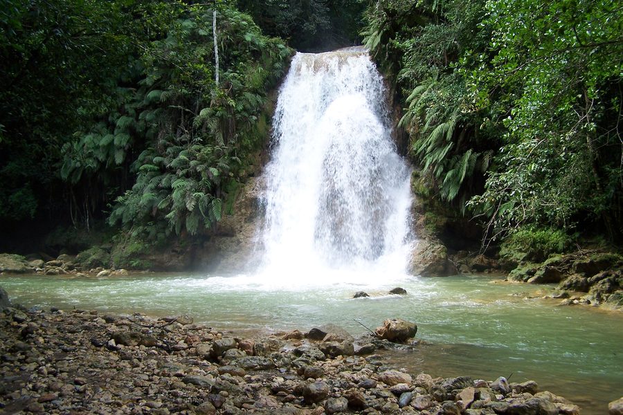 Cascade El Limón entourée d’une végétation tropicale luxuriante