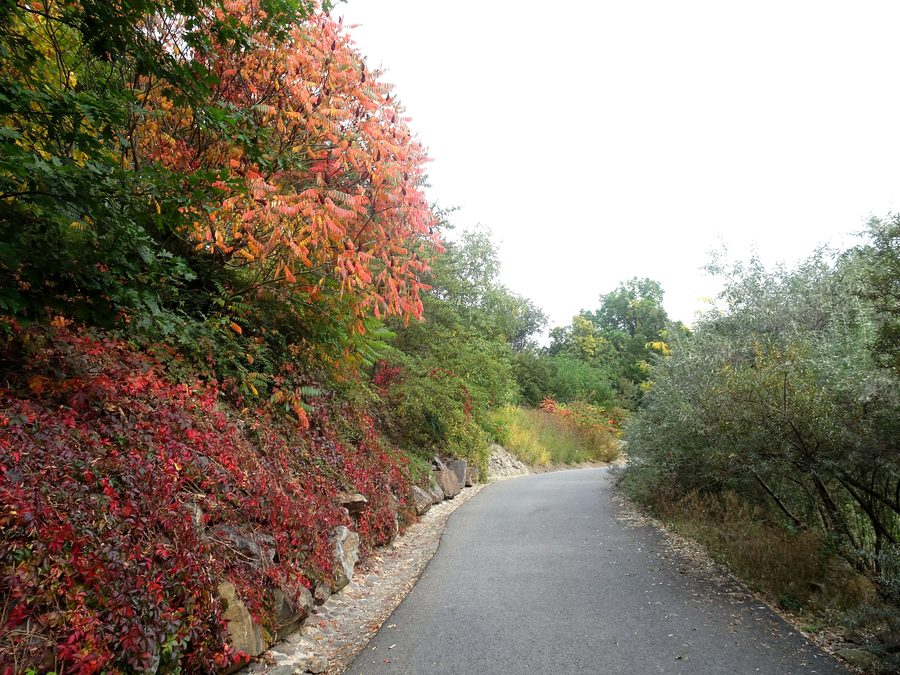 Chemin sur le site du zoo de Plzeň