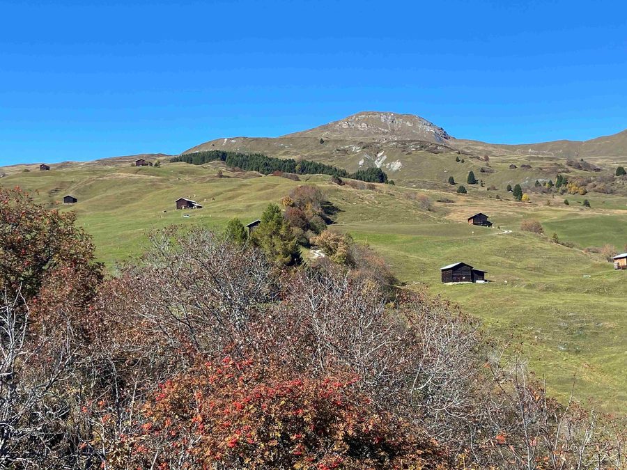 Vue sur le Piz Sezner dans la Val Lumnezia en automne