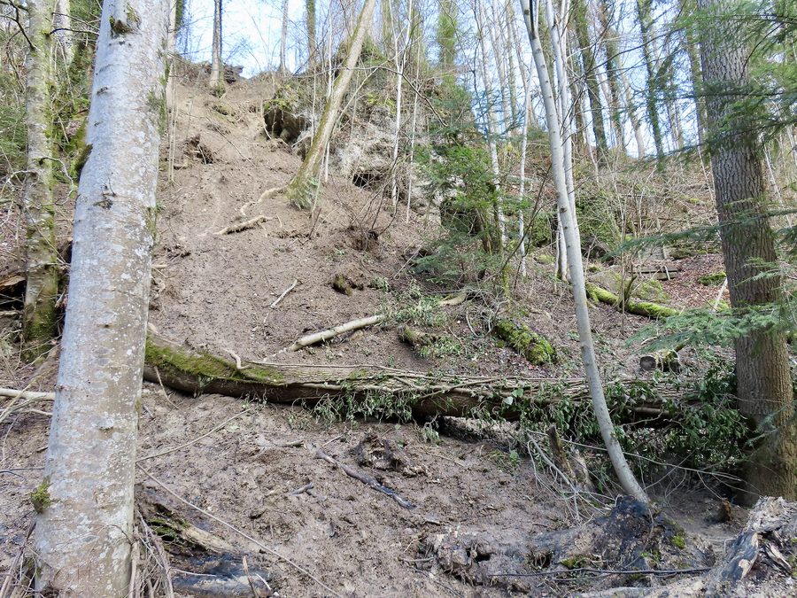 Pente de glissement dans le Küsnachter Tobel au-dessous de la grotte du dragon
