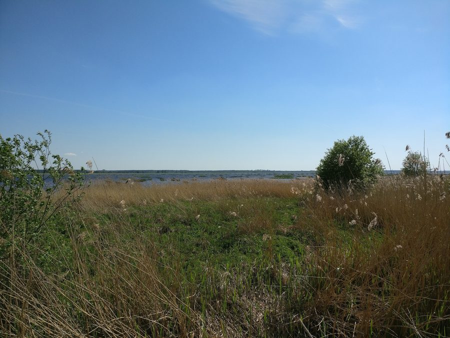 Paysage au bord du Babītes ezers en Lettonie