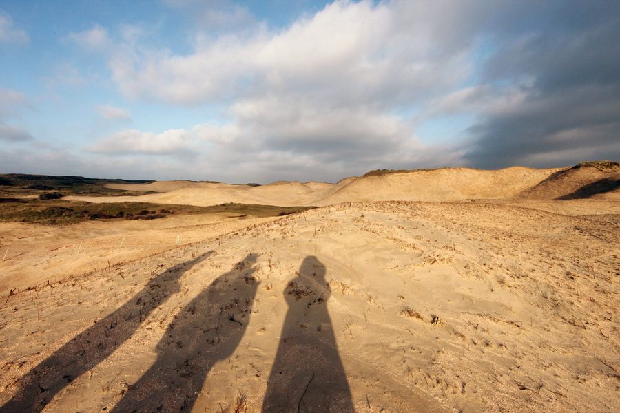 Paysage de dunes ouvert dans la zone PWN près de Heemskerk