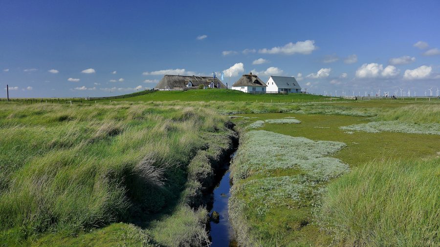 Paysage de la Hamburger Hallig dans le parc national du Wattenmeer