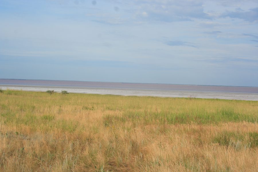 Steppe ouverte dans le rayon de Blagoveshchenskiy dans la région de l’Altaï
