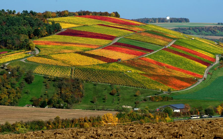 Vue depuis le Karlsberg sur Weikersheim et les vignobles de la vallée de la Tauber en automne