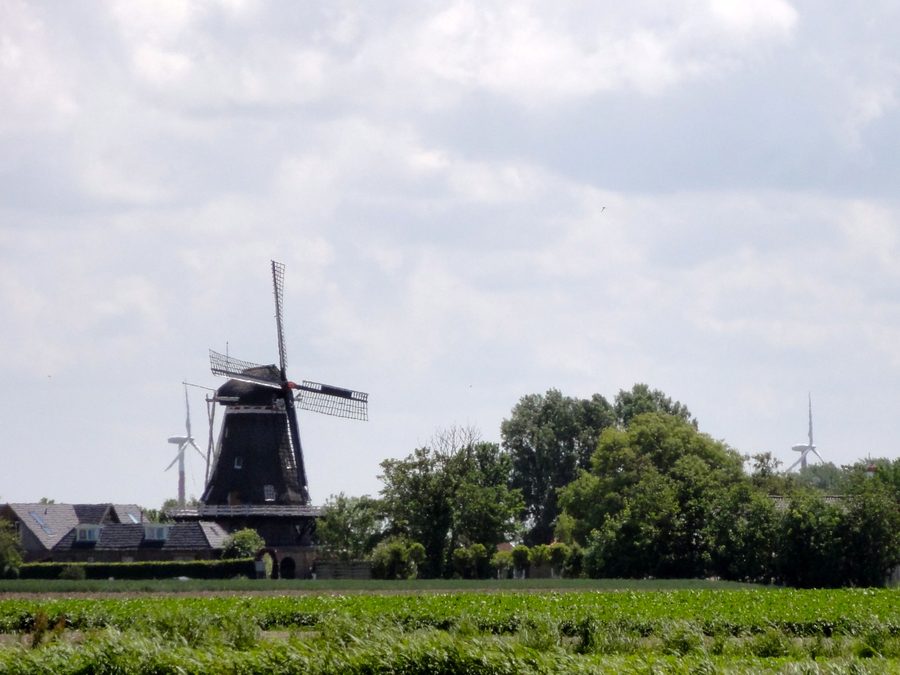 Moulin De Korenaar à Sexbierum