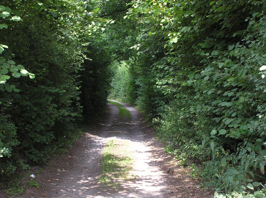 Redder à Siek dans le district de Stormarn