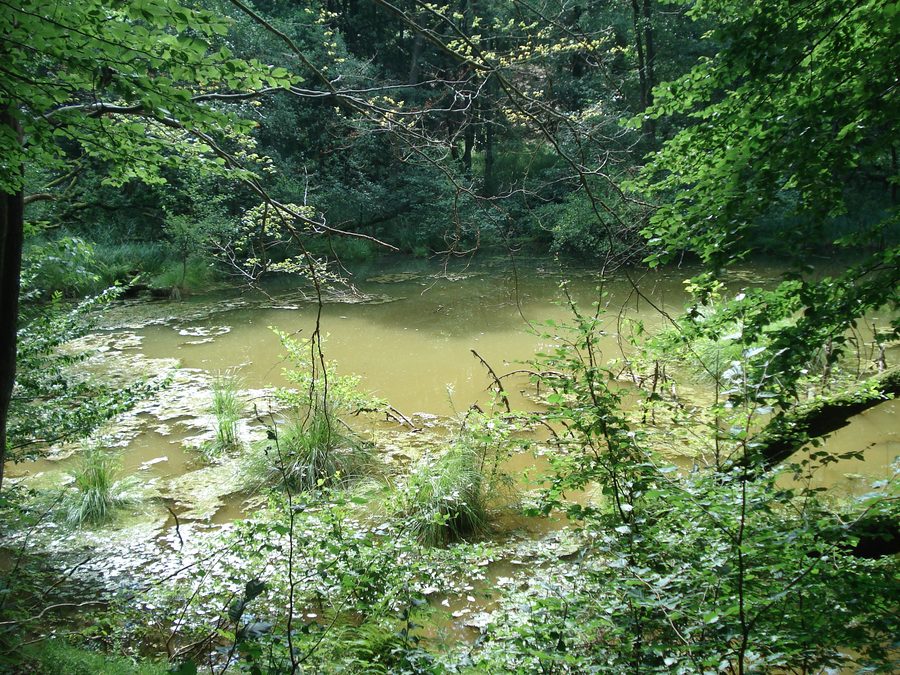 Le Teufelsloch près d’Osterode am Harz