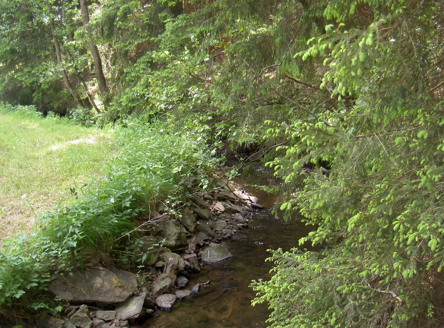 Bayerische Schwarzach dans le Haut-Palatinat
