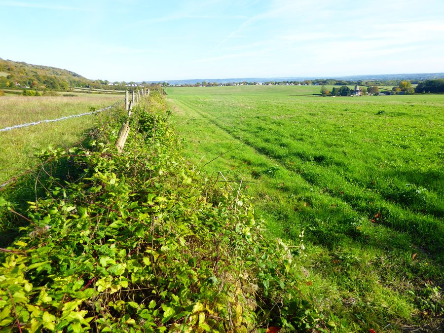 Paysage au pied des North Downs près du Trosley Country Park