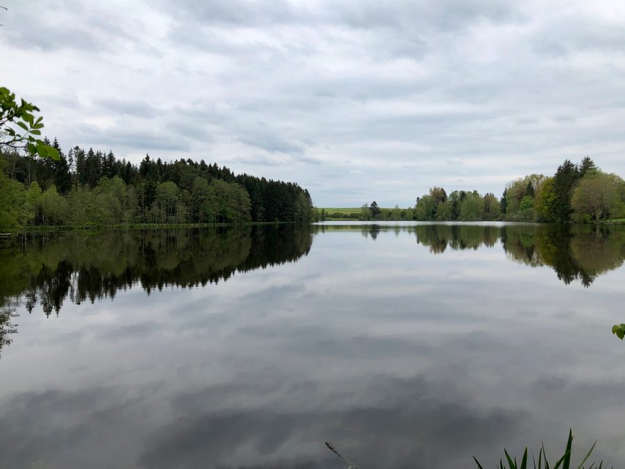 L’Engelsrieder See près de Rott, vu depuis la rive est