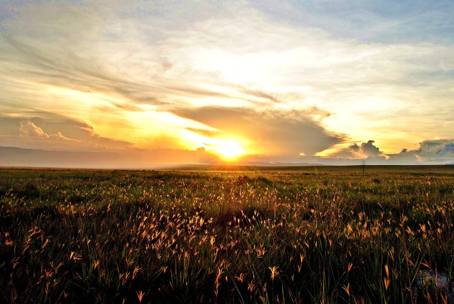 La Gran Sabana dans l’État du Bolívar