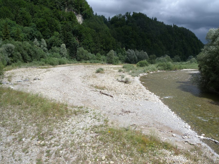 Paysage alluvial de la Singine près de Schwarzenburg au pont de Sodbach