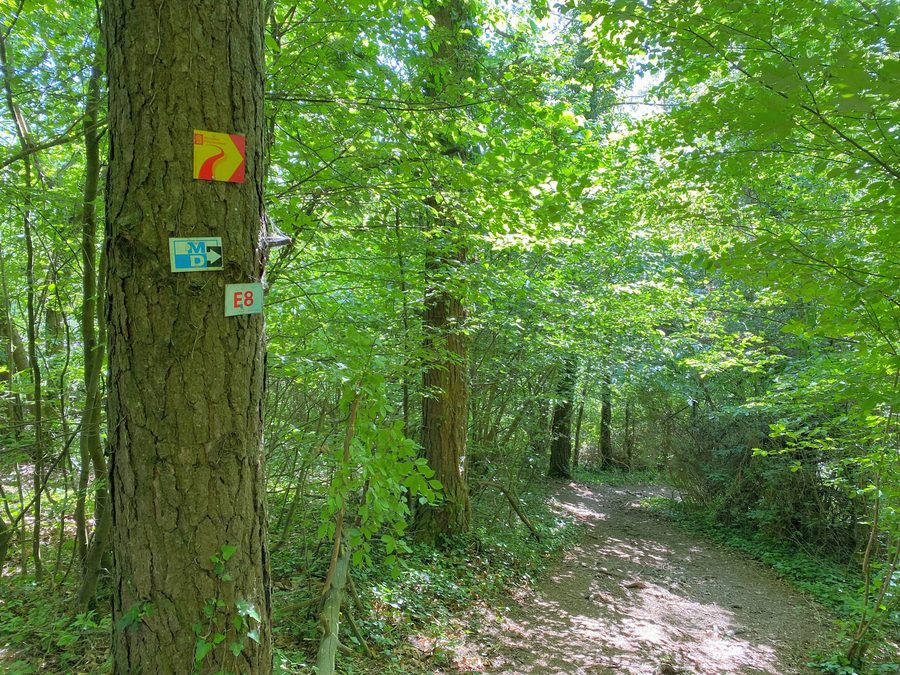 Paysage sur le sentier panoramique de l’Altmühltal près d’Obereichstätt dans l’arrondissement d’Eichstätt