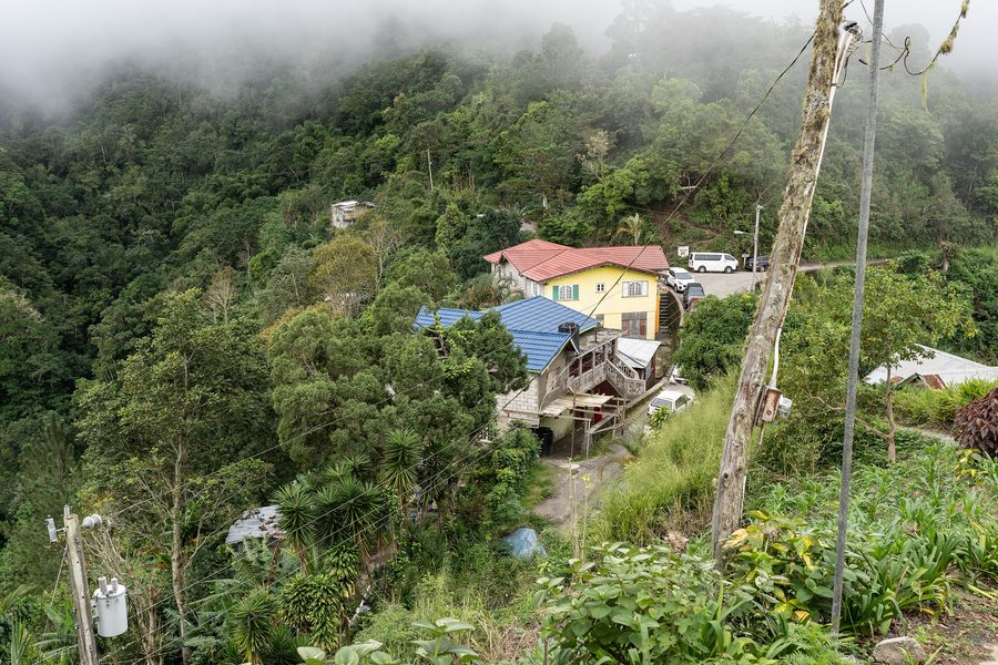 Paysage dans les Blue Mountains en Jamaïque