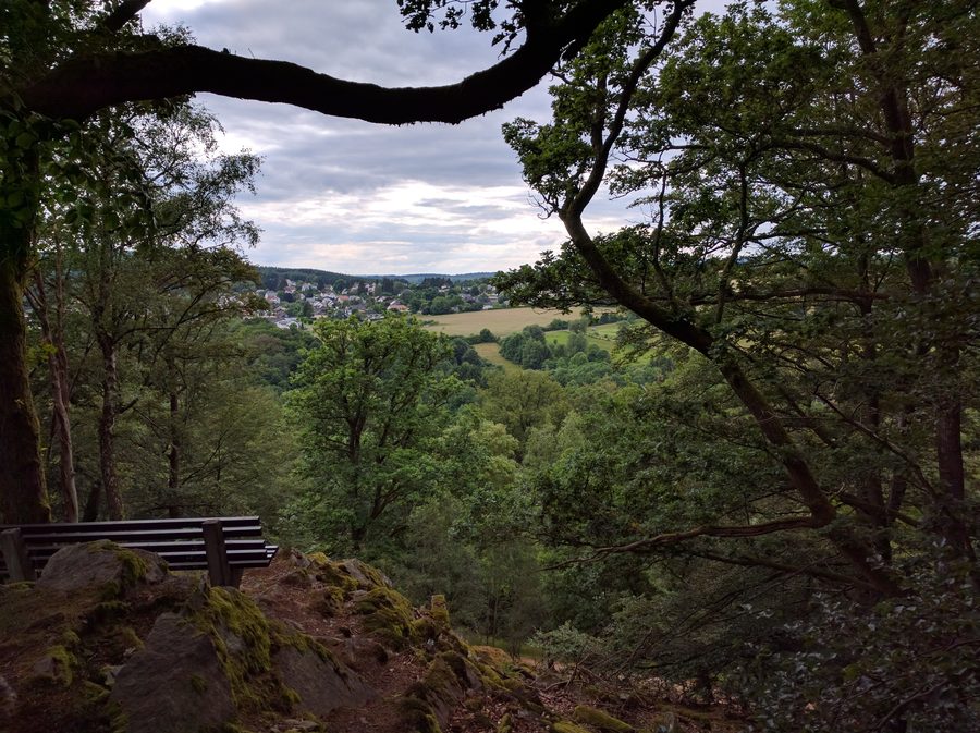 Vue dans le parc national sarrois Hunsrück-Hochwald près de Nonnweiler