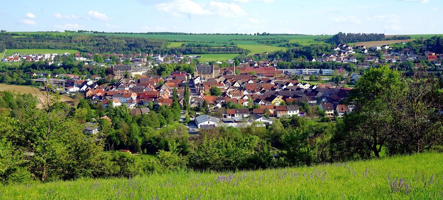 Vue de Thüngen depuis le vignoble en mai 2024
