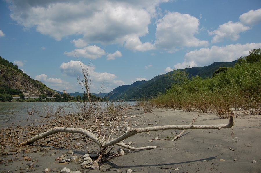 Rive du Danube dans la Wachau près de Mitterarnsdorf