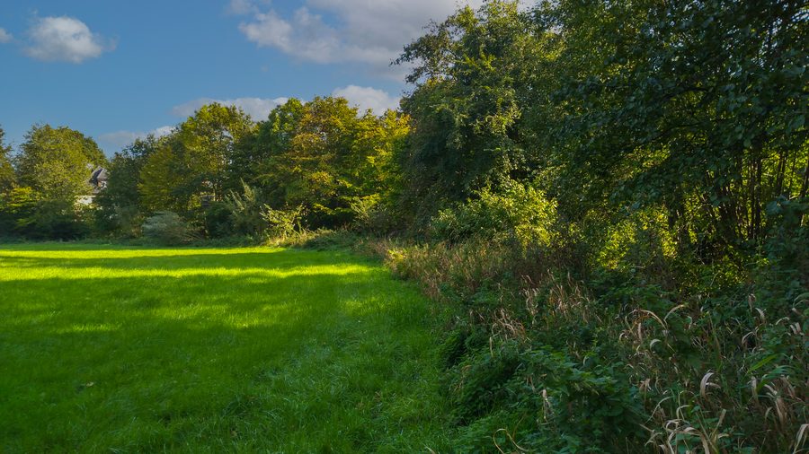 Paysage le long de la Bollingstedter Au dans la zone Natura 2000 Treene, du Winderatter See jusqu'à Friedrichstadt