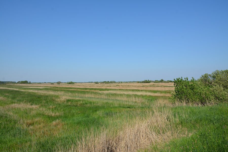 Paysage dans la réserve naturelle de la dépression de Lunden dans l'arrondissement de Dithmarschen