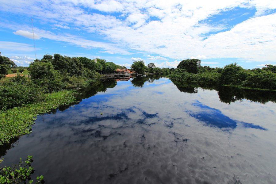 Canal fluvial et végétation humide dans le Pantanal.