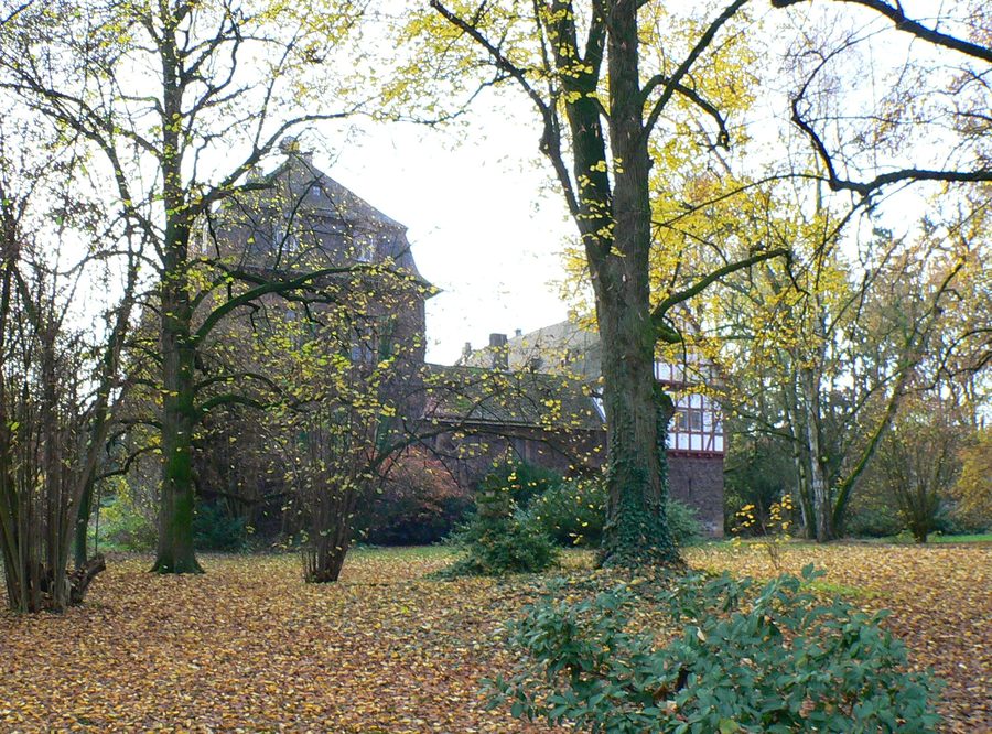 Château inférieur à Fronhausen, Hesse