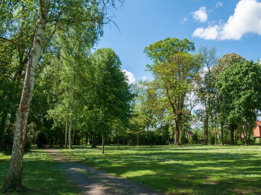 Vue sur le parc du château dans le quartier de Bad Rappenau-Bonfeld