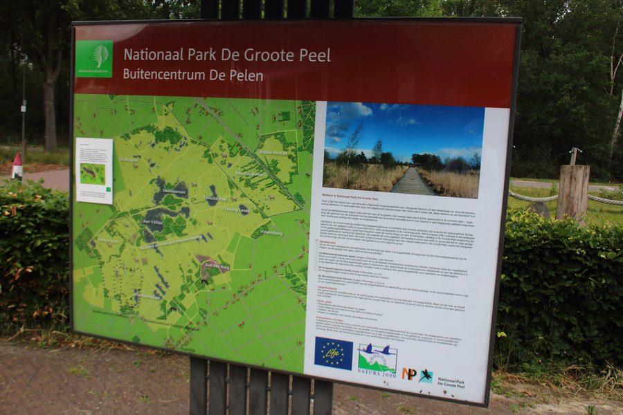 Paysage dans le parc national De Groote Peel, Pays-Bas