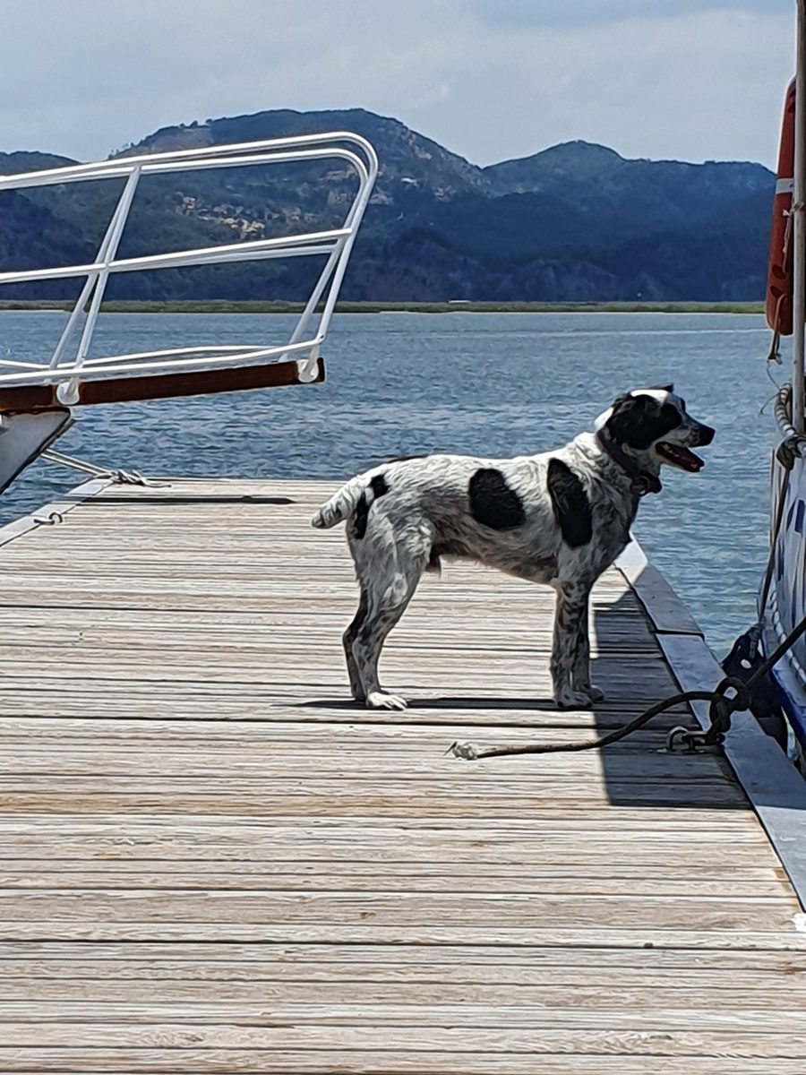 Jetée au point de liaison entre la rivière de Dalyan et la lagune d’İztuzu