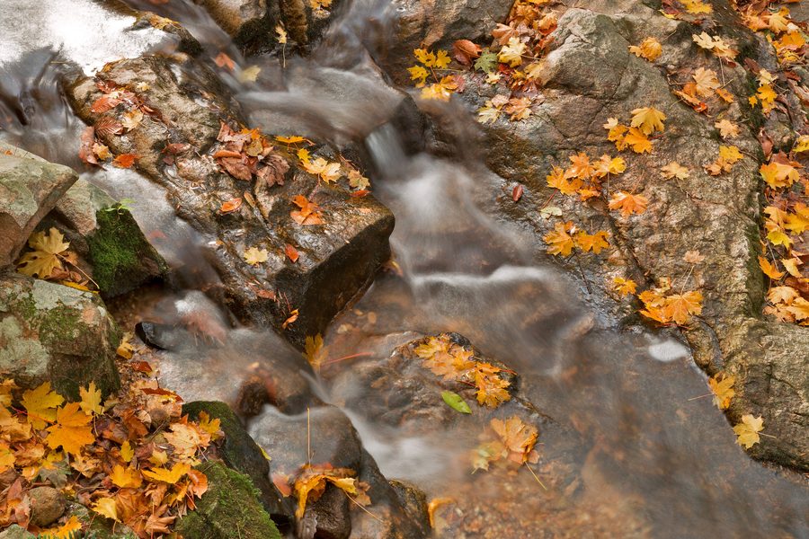 Ruissellement dans le parc d’État de Patapsco Valley près de Baltimore, Maryland