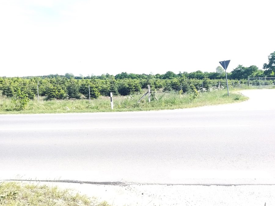 Route départementale L44 à Osdorf
