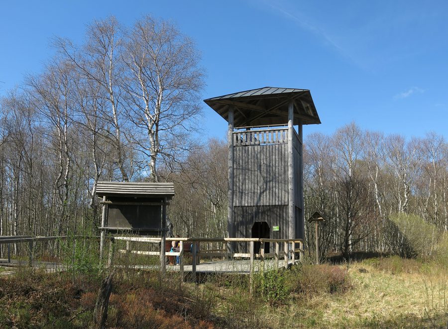 Tour d’observation dans le Rote Moor dans la Rhön