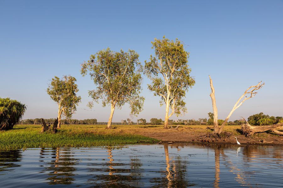 Yellow Water dans le parc national de Kakadu