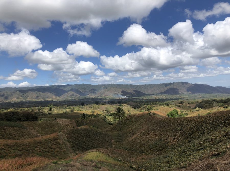 Culture de l’ananas pendant la saison sèche dans la commune de Ticuantepe, Nicaragua
