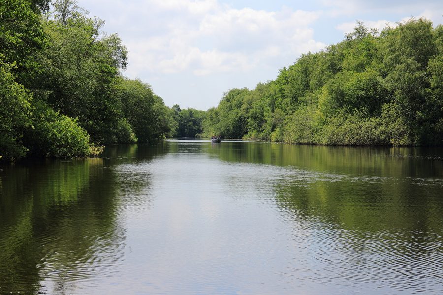 Voies navigables dans le parc national De Weerribben-Wieden aux Pays-Bas