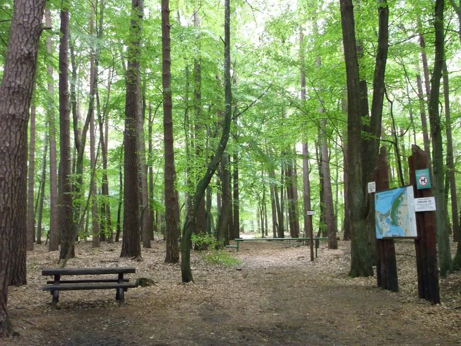 Paysage dans le parc national de Wolin près du lac Czajcze