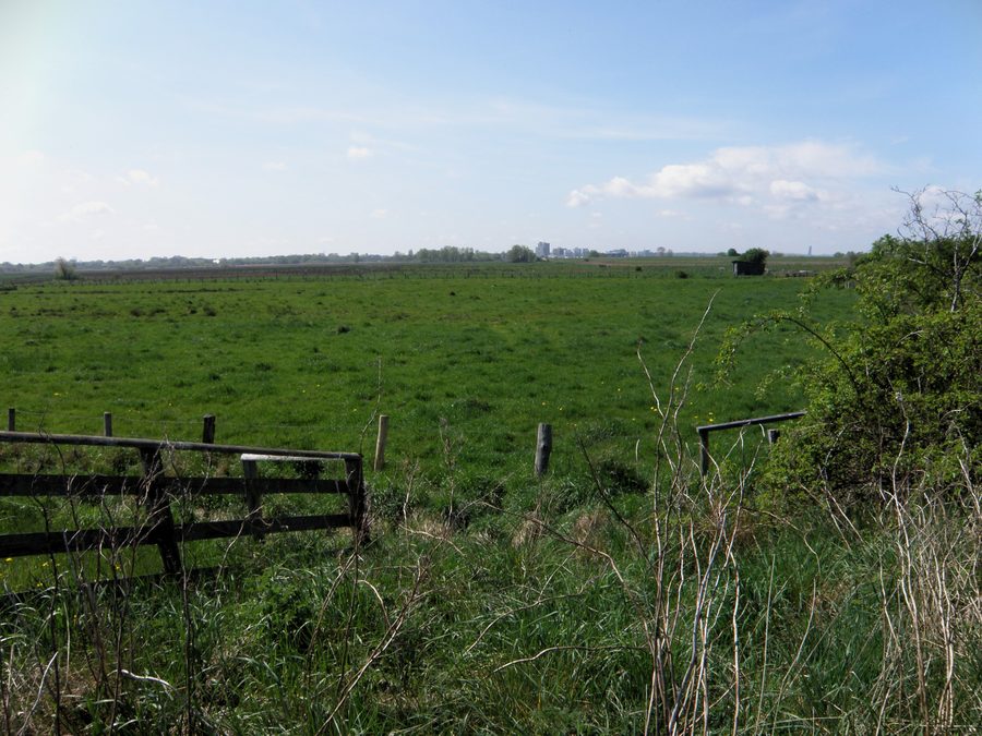 Vue sur les prairies dans la réserve naturelle de Barsbeker See et ses environs