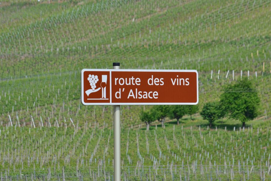 Paysage viticole en Alsace