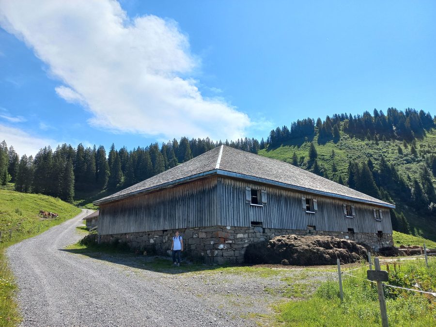 Alpe Gapfohl dans le domaine de sports d’hiver de Laterns-Gapfohl avec le Hohen Falben en arrière-plan