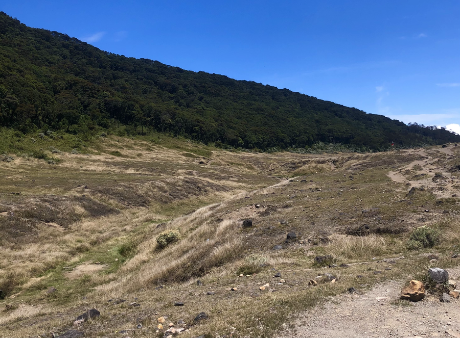 Paysage de savane dans le parc national de Gunung Gede Pangrango à Java occidental