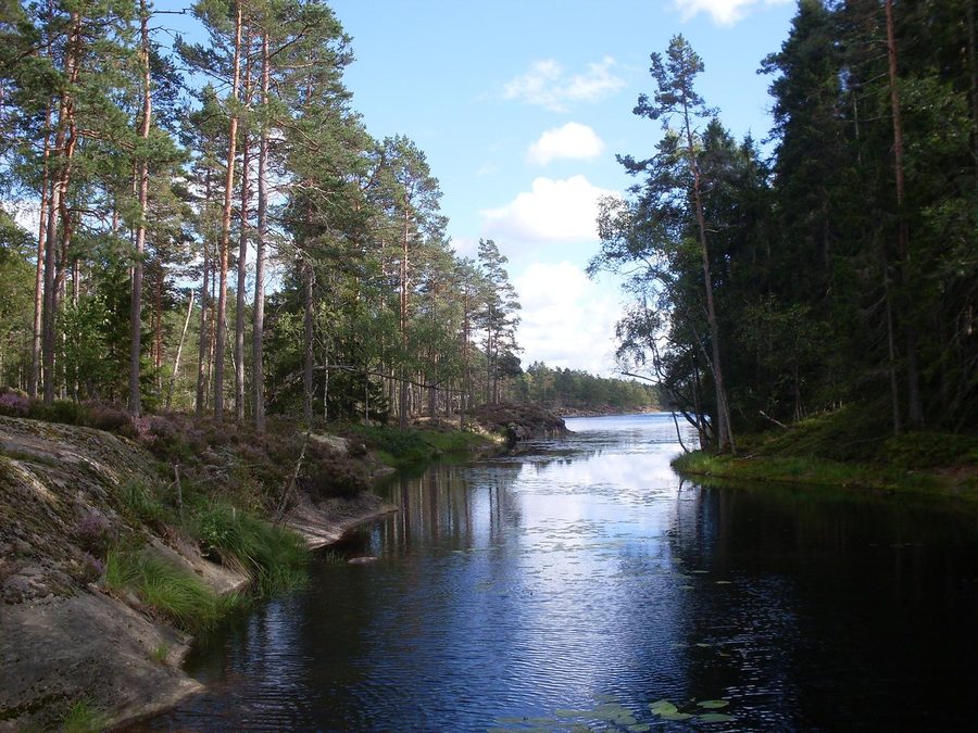 Vue depuis un pont entre le lac Stora Tresticklan et le lac Lilla Tresticklan dans le parc national de Tresticklan
