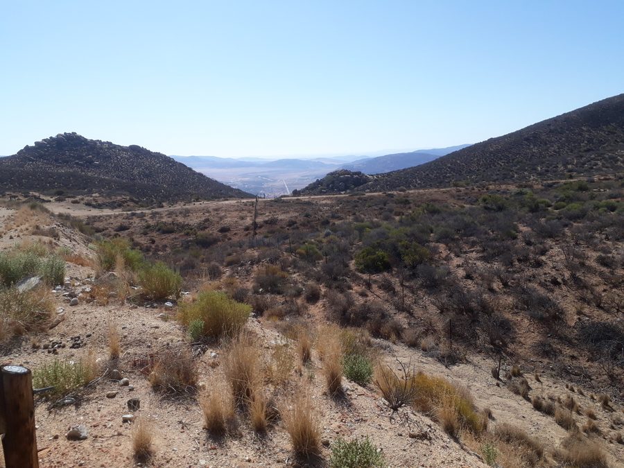 Vue sur une route lors d’un voyage sur la côte nord-ouest de l’Afrique du Sud.